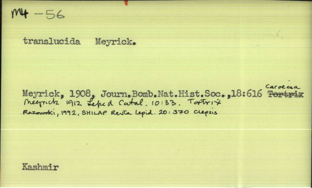front of card